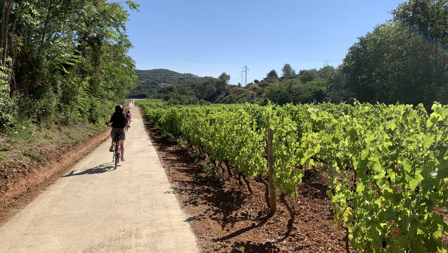 À Saint-Chinian, la route des vins se prend désormais à vélo